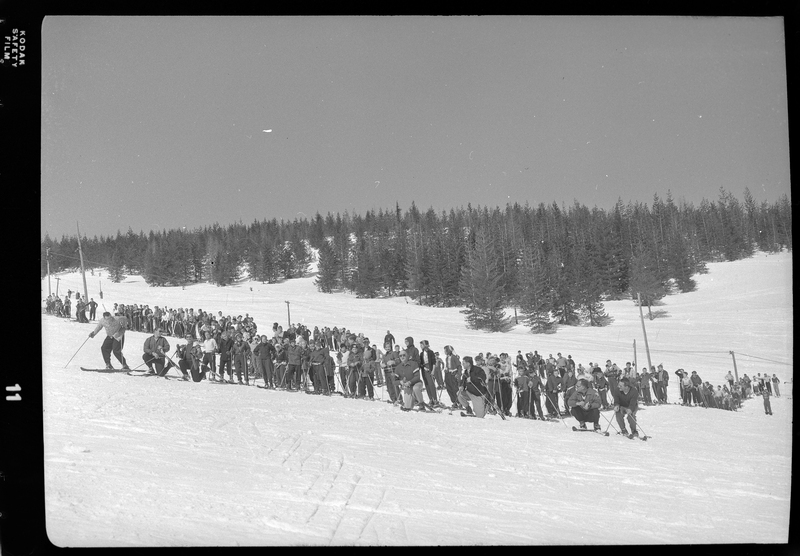 A large group of men, women, and children are standing on a snow covered hill, all wearing skis. In the background trees and a ski lift are visible.