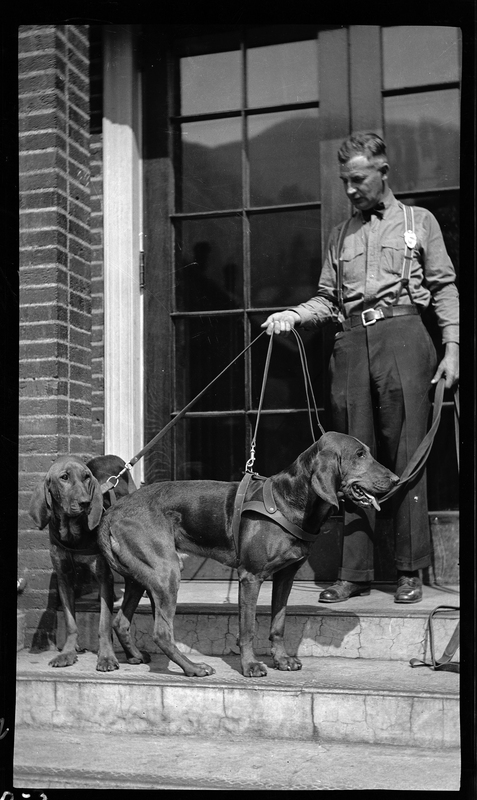 Photo of an unidentified man standing on the steps of a building holding two hound dogs on a leash. The man has a badge of some sort on his suspenders.