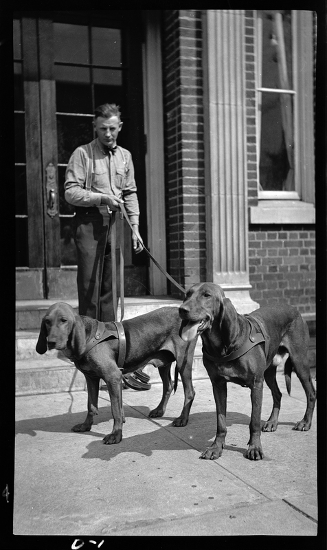 Photo of an unidentified man standing in front of a building with two hound dogs on leashes.