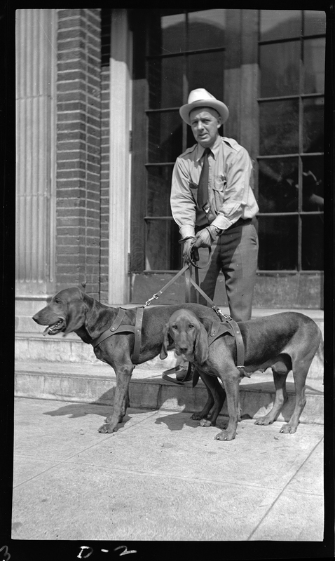 Photo of an unidentified man wearing a hat with two hound dogs on leashes standing in front of a building.