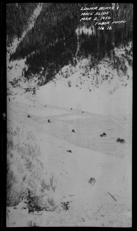 Photo of several snowplows attempting to remove the snow after an avalanche occurred in lower Burke and Mace, Idaho. They are far in the distance from the photographer, and in the background trees can be seen knocked down as a result of the force of the avalanche.