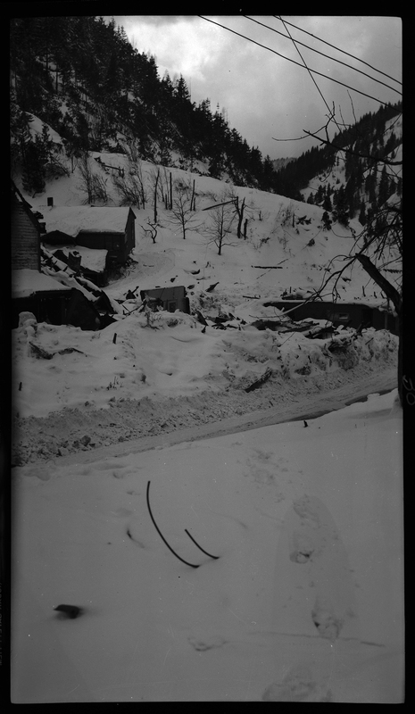 Damaged buildings after an avalanche came onto lower Burke and Mace, Idaho. Trees in the background have been knocked over from the force of the avalanche.