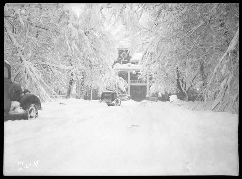 Photo of a snow covered street that leads up to the Wallace Hospital. Two cars are driving down the road through the active snowstorm, and the trees that drape over the street are covered in snow.
