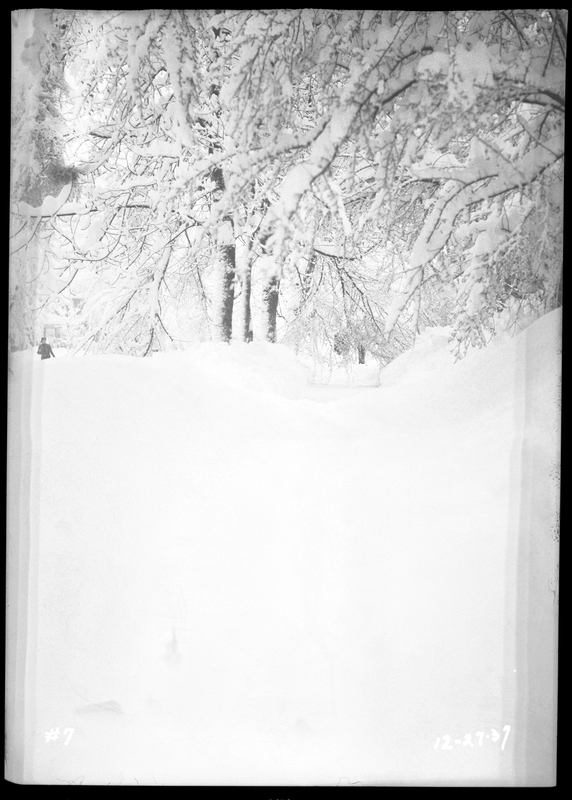 Slightly overexposed photo of a snow scene, and there is an unidentified individual walking through several inches of snow during a snowstorm in Wallace, Idaho. Due to overexposure or the snow itself, not much else is visible besides the person in the distance and the snow covered trees.
