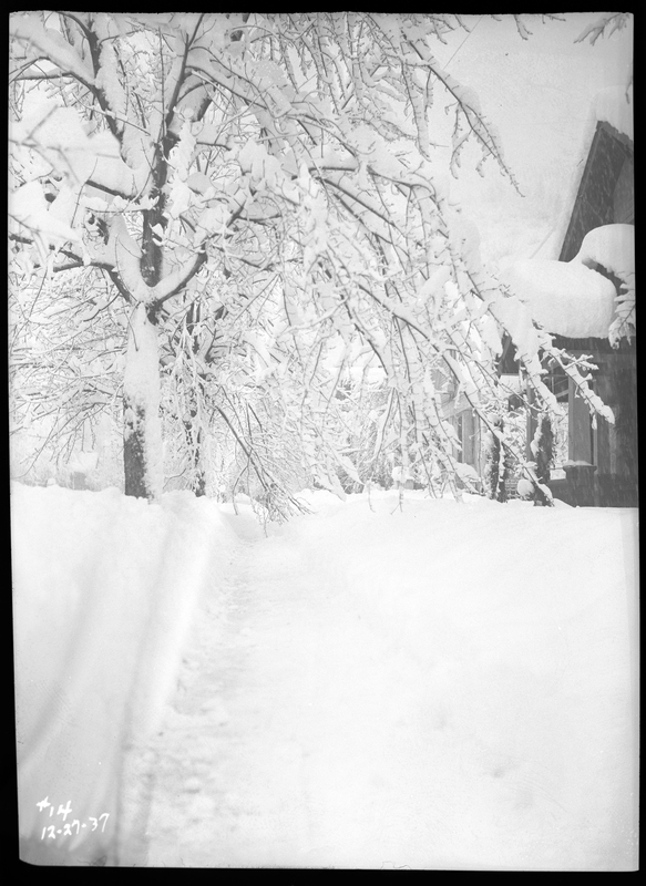 Photo of a recently shoveled but still snow covered sidewalk in Wallace, Idaho during an active snowstorm. The packed snow on either side of the sidewalk appears to be several feet tall, and the roof of the house and the trees that are visible are covered in several inches of snow.