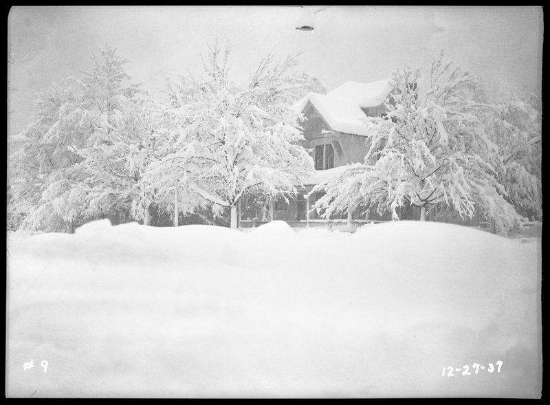 Photo of a house and the surrounding trees covered in snow during an active snowstorm in Wallace, Idaho. The photographer is standing behind a tall pile of snow, and snowfall is visible in the picture.