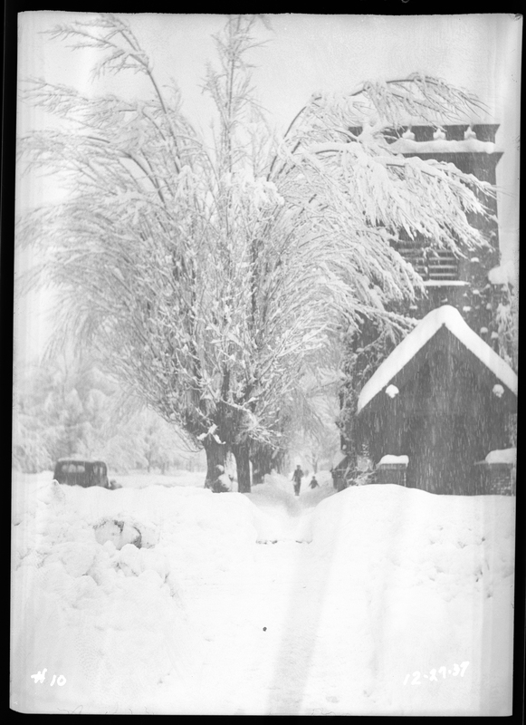 Photo looking down a snow covered street in Wallace, Idaho during an active snowstorm. The building that is visible and the large tree next to it are both covered in several inches of snow. A few people can be seen walking down the sidewalk in the background, and a car is driving down the street.