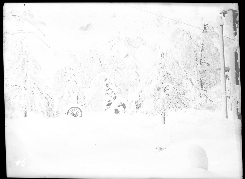 Snowy scene during a snowstorm in Wallace, Idaho. Due to overexposure, most of the details of the subject of the photo are not visible, however snow covered trees are visible throughout the photo. 