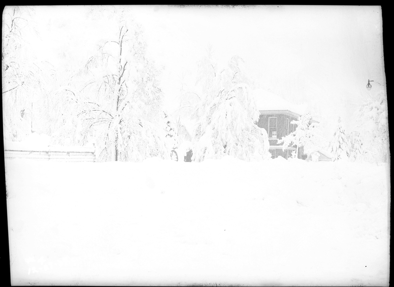 A house is visible in the distance, covered in snow. Due to either the snow or overexposure, most of the details are not visible. However snow covered trees and part of the house are, and it is actively snowing in the photo.