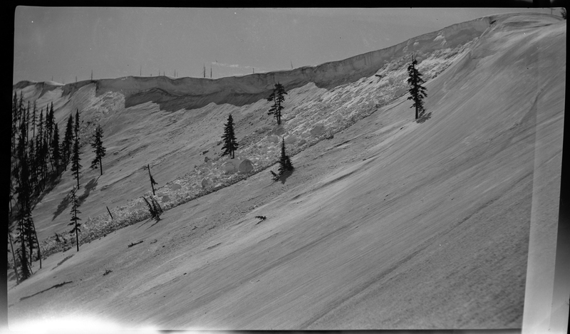 Photo of a snow covered hill at Jack Waite Mine, where there appears to have been a small snow slide. The path of the slide is easily visible, as well as the trees on the hill.
