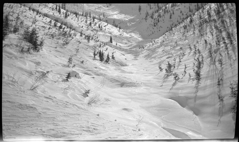 Photo looking down a snow covered hillside at Jack Waite Mine. There are trees throughout the hill, all surrounded by heavy snow.