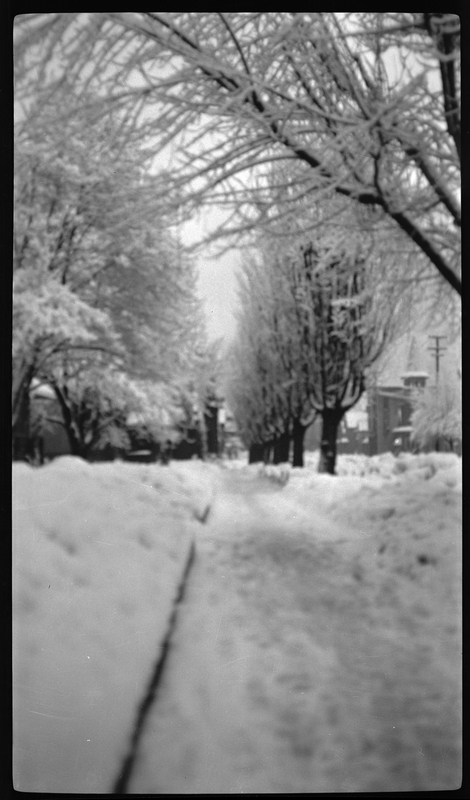 Photo looking down a snow covered sidewalk in Wallace, Idaho, possibly on Pine Street or King Street. The photo is blurry, but the trees lining both sides of the sidewalk are visibly covered in snow.