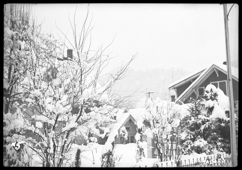 Parts of several snow covered houses in Wallace, Idaho are visible behind the foliage in the foreground.
