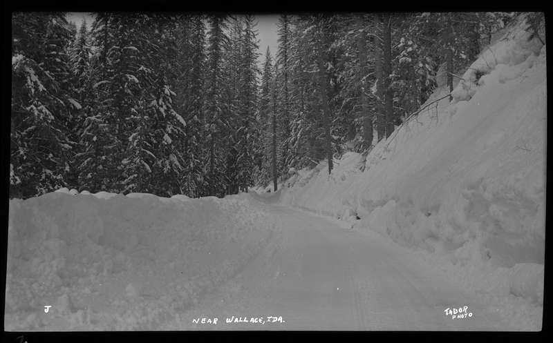 Photo of a snow scene in a wooded area near Wallace, Idaho. The ground and surrounding trees are covered in trees.