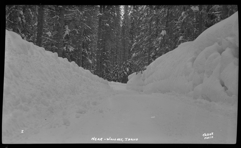 Photo of a snow scene in a wooded area near Wallace, Idaho. The ground and surrounding trees are covered in trees.