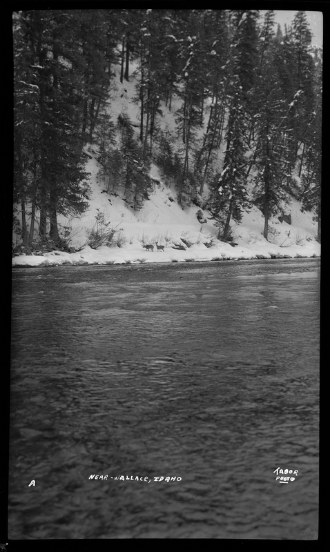 River in the snow near Wallace, Idaho. The bank of the river is covered and snow, and trees are behind it.