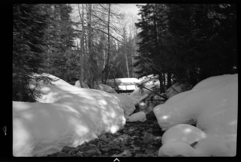 Photo of a snowy creek near Burke, Idaho. There is snow piled up on the ground and trees around the creek.