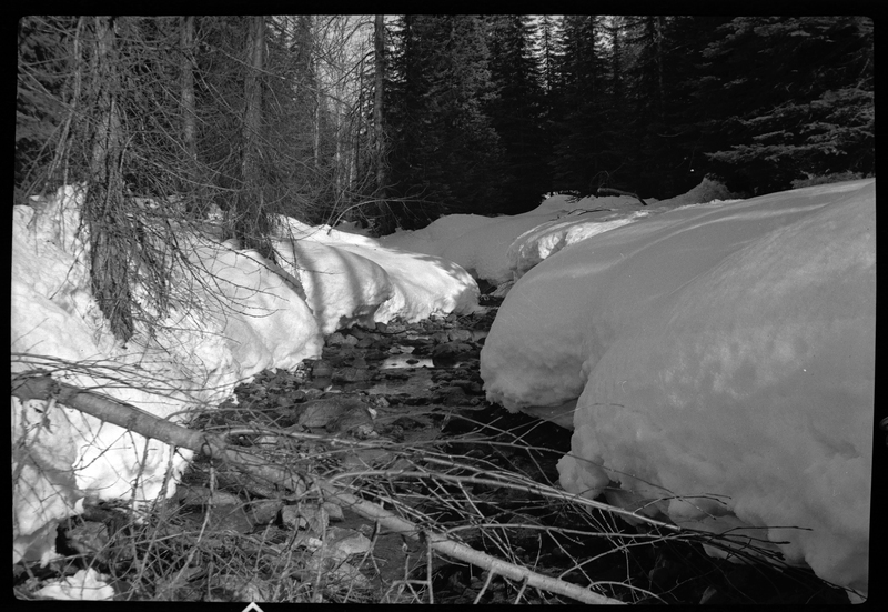 Photo of a snowy creek near Burke, Idaho. There is snow piled up on the ground and trees around the creek. There is a tree fallen over in the creek.