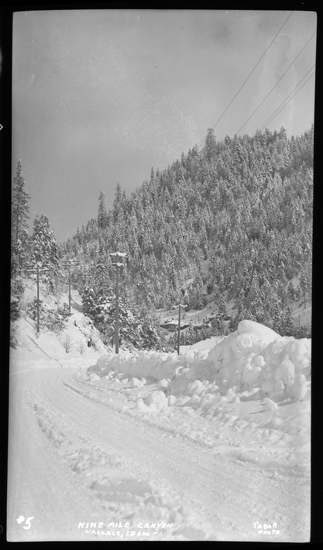 Photo of the Nine Mile Canyon near Wallace, Idaho. The ground and visible trees are covered in a heavy layer of snow. The ground in front of the photographer appears to be a previously plowed road.