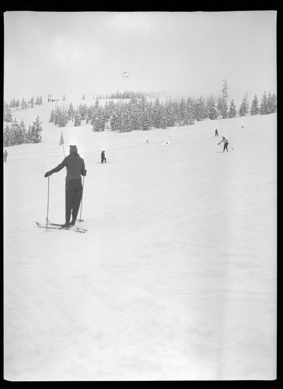 Photo of an unidentified person competing in a ski tournament. There are a few other skiers in the background, and even further away are snow covered trees.