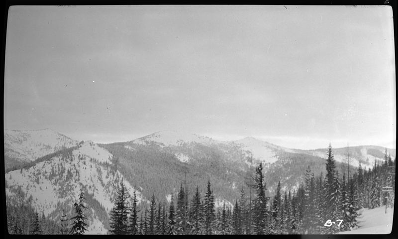 Landscape photo of snow covered trees and mountains visible from Lookout Pass.