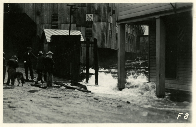 People observe nearby floodwaters near some larger buildings during the Wallace flood. One person appears to be pulling another back. A dog is standing nearby.