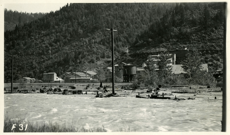 A shot of water covering what appears to be a field with tree stumps and telephone poles during the Wallace flood. Several buildings are visible in the background.