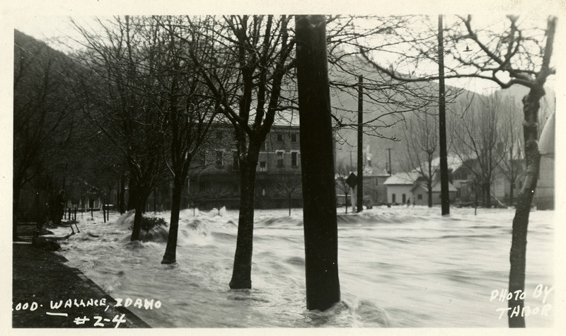 Water rushes past a row of trees and telephone poles lining what appears to be a road. There are several buildings in the background including Our Lady of Lourdes Academy