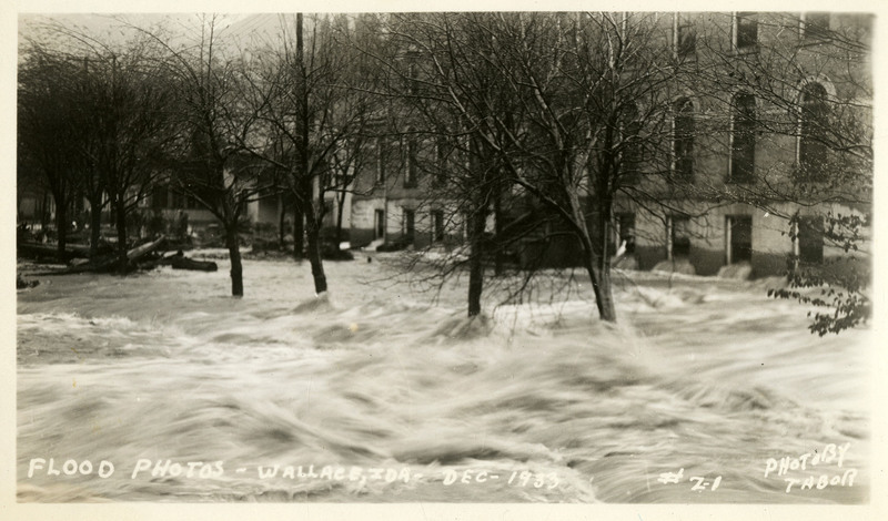 Floodwaters rush between buildings, against a line of trees during the Wallace flood. Debris is visible building against the tide in the background.