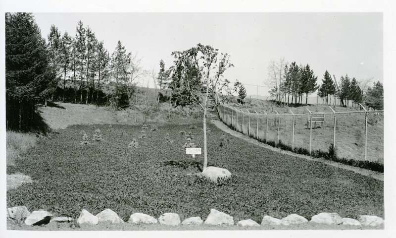 Xi Sigma Pi memorial planting of the Idaho Arboretum, later renamed the Shattuck Arboretum in honor of the late Dean Charles Houston Shattuck. 