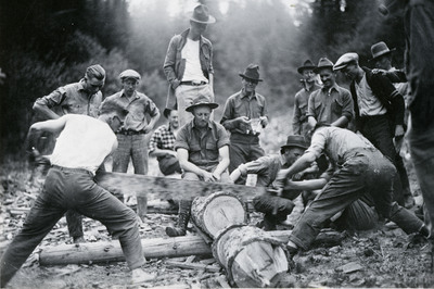 Forestry students competing in logger sports.