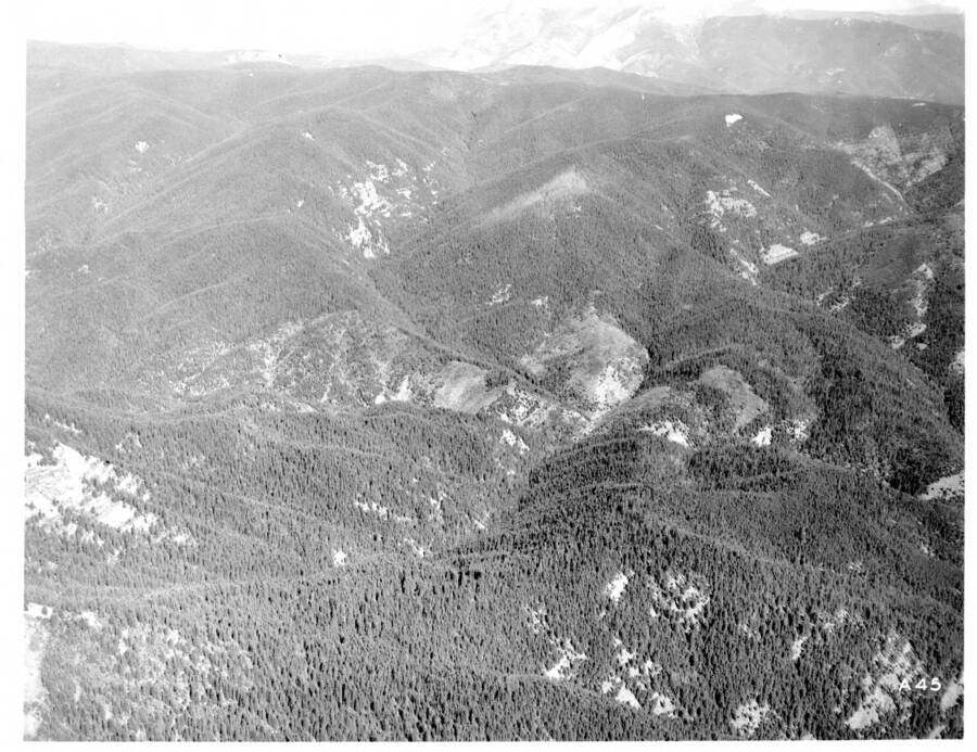 Black and white oblique photo taken by the Washington National Guard.