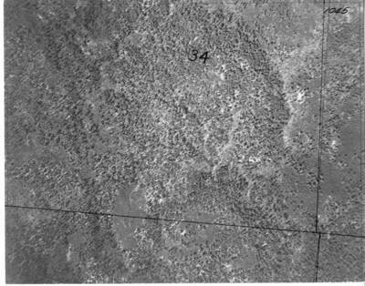 Nez1045