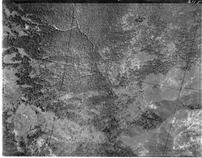 Clr2115