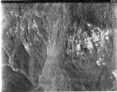 Clr2185