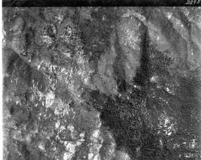 Clr2245