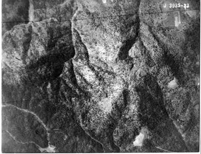 J3935