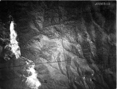 JO1955