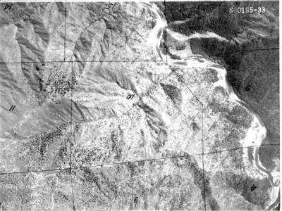 NEZ195