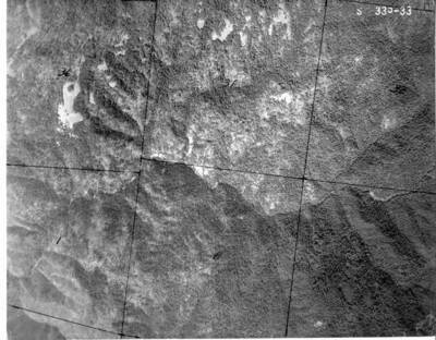 NEZ335