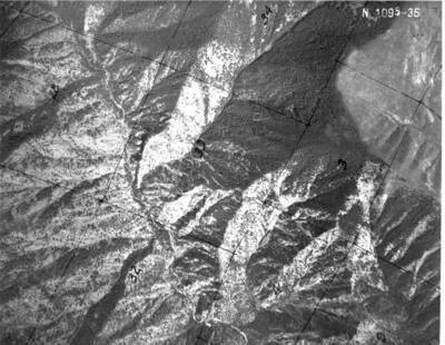 NE1095