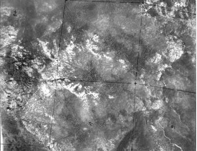 NEZ5