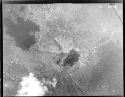 C12