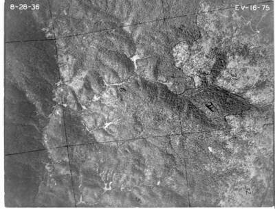 EV1675