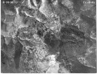 EV1685