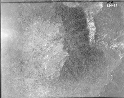 C124