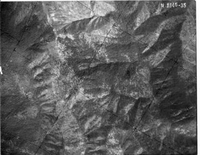 NE1545