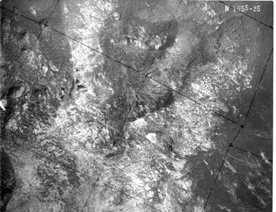 NE1555