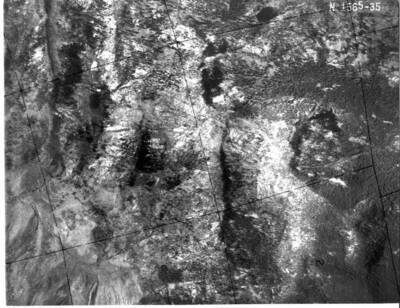 NE1565