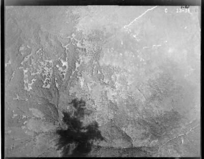 C13